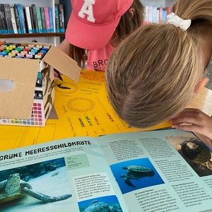 Entdecke das Meer in der Bibliothek Maria Neustift