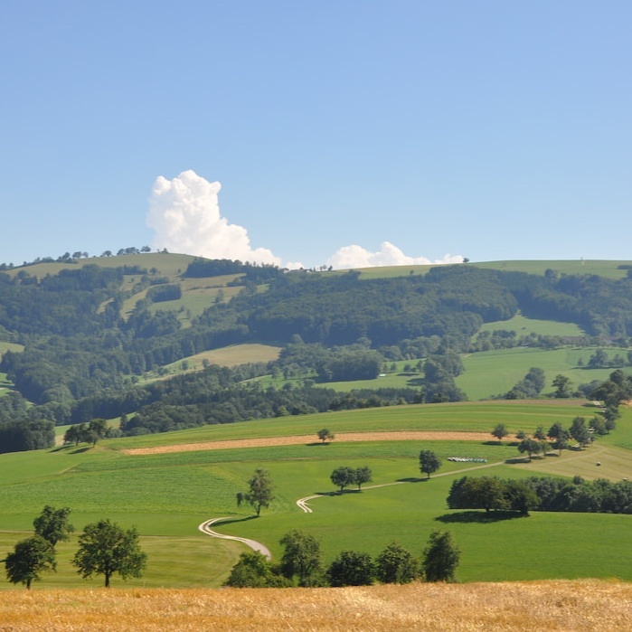  Idylischer Hinterwaldweg