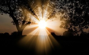 Licht und Dunkel