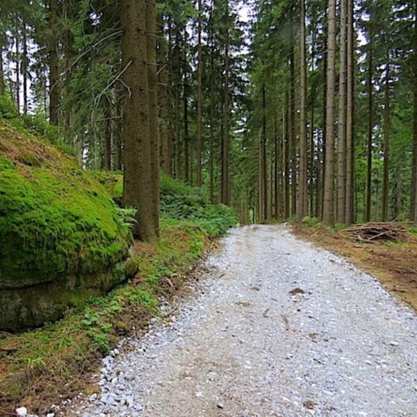 Planetenweg / Gemeinde Bad Traunstein Planetenweg