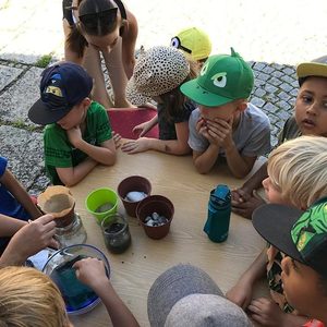 MINT-Ferienspiel in der Bibliothek Kleinzell