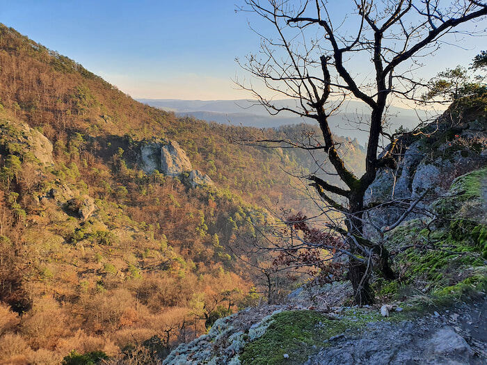 Höhenweg Spitz bis St. Michael