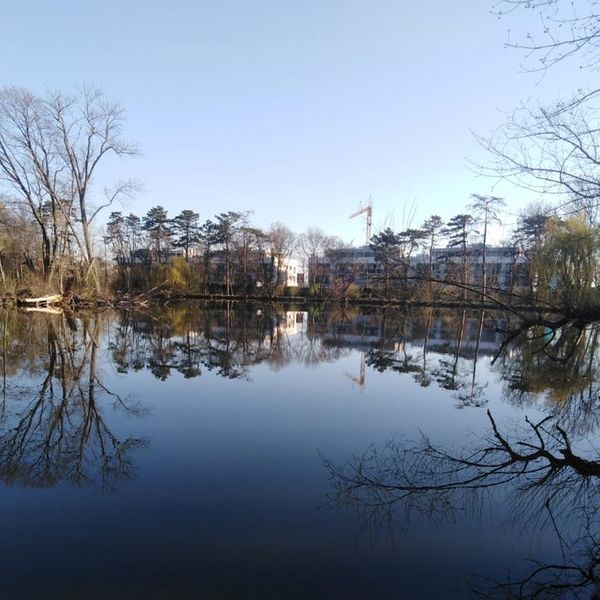 Pionierteich Wiener Neustadt / Maria Roth Pionierteich Wiener Neustadt