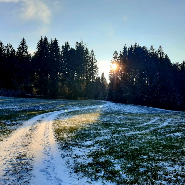 Weihnachtsweg / Franz Schönauer bei der Leinerhütte