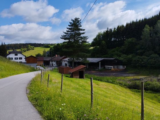 Von Summerau bis nach Linz