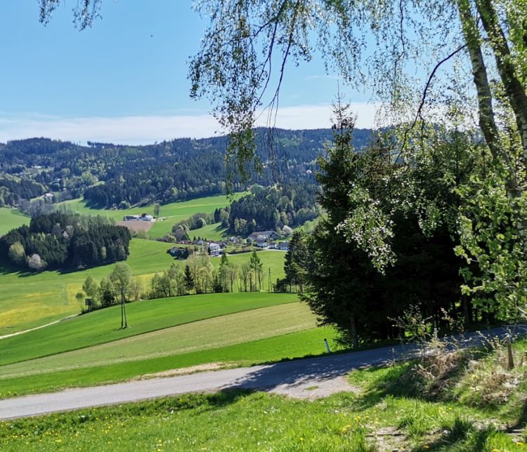 Auf der Hansberg-Runde