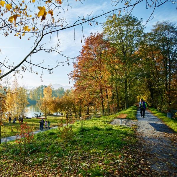 Naturparkweg Lustenau Alter Rhein