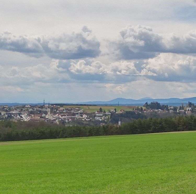 Via Pacis