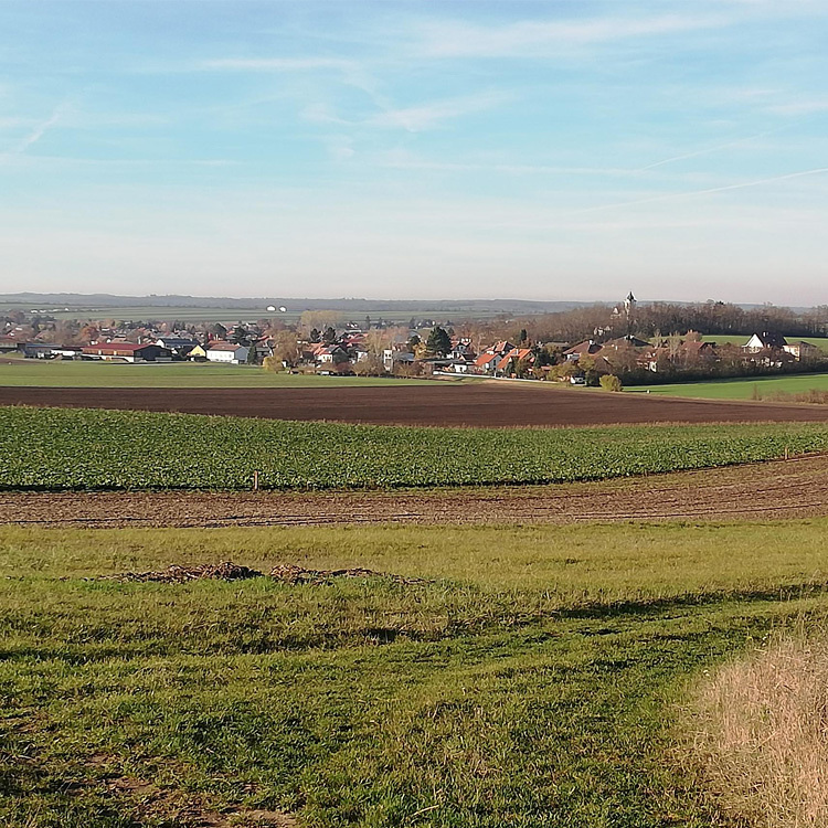 Rundweg durch Feld und Flur