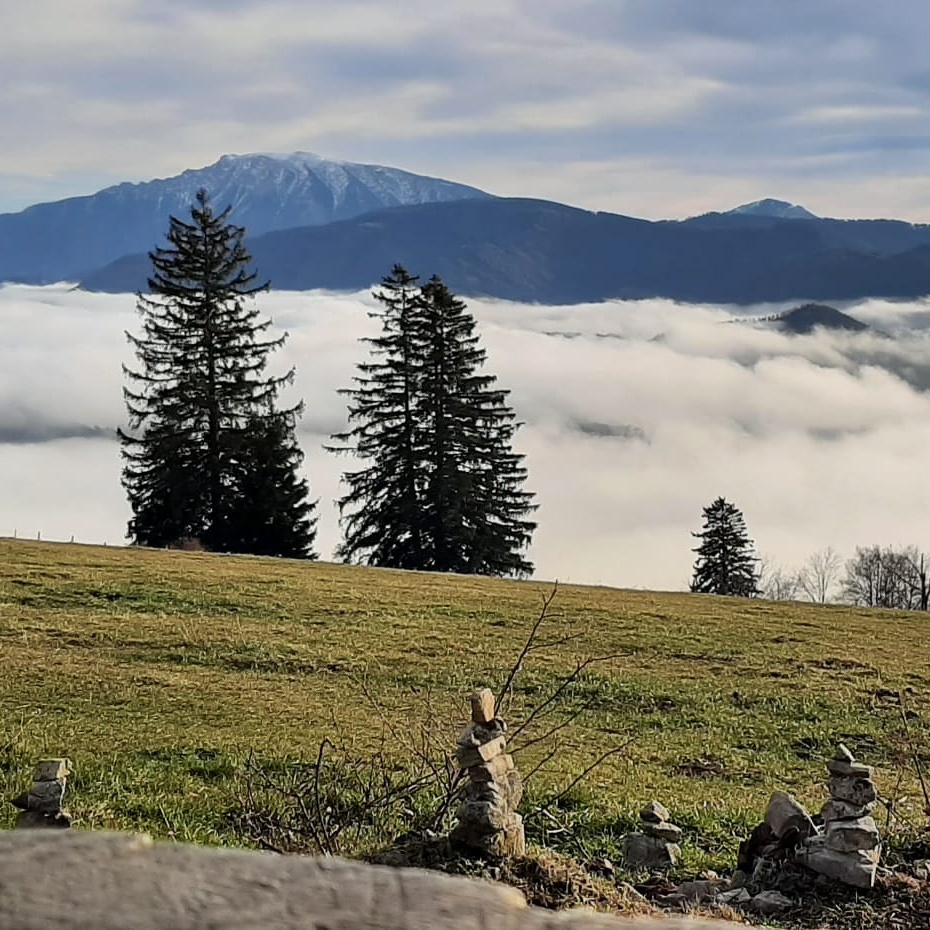 Hochschlagweg