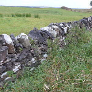 Irlandreise