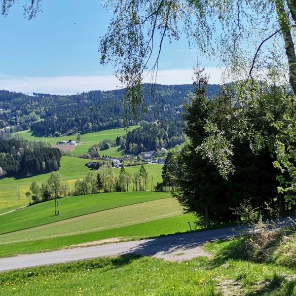 Auf der Hansberg-Runde / Maria Baumgartner Auf der Hansberg-Runde