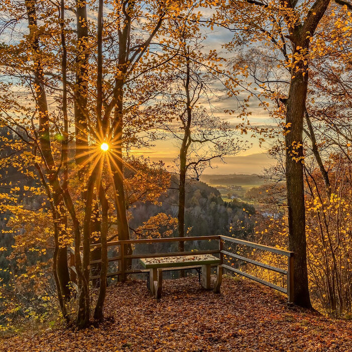 Almweg im Tal der sieben Mühlen