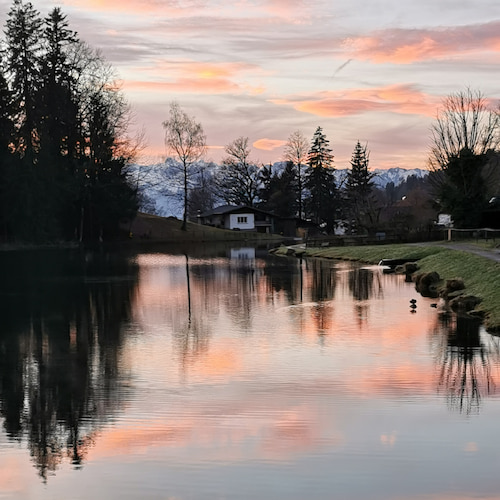 Naturparkweg Lustenau Alter Rhein