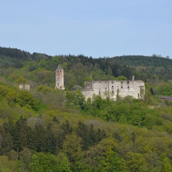 Burgruine Hohenegg / Gabi Fahrafellner Burgruine Hohenegg