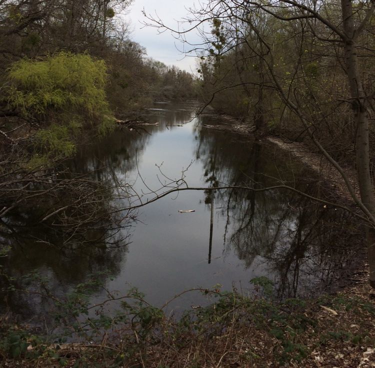 Heustadlwasser Prater