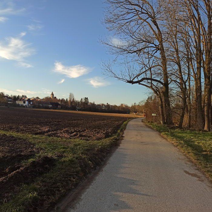 Blick über ein Feld mit Weg an der Seite und Ort im Hintergrund.