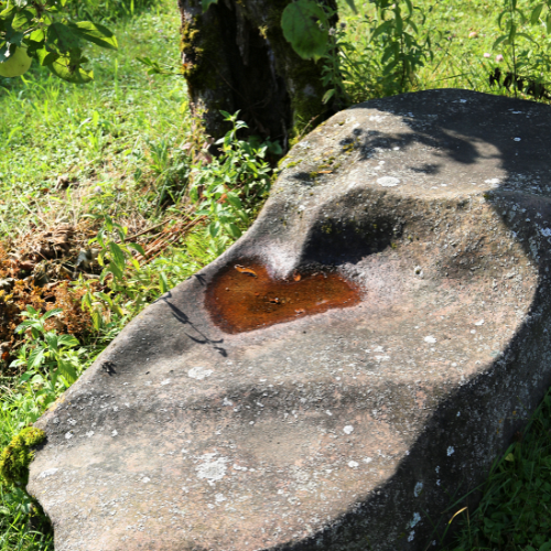 Ein Kraftplatz der Hoffnung