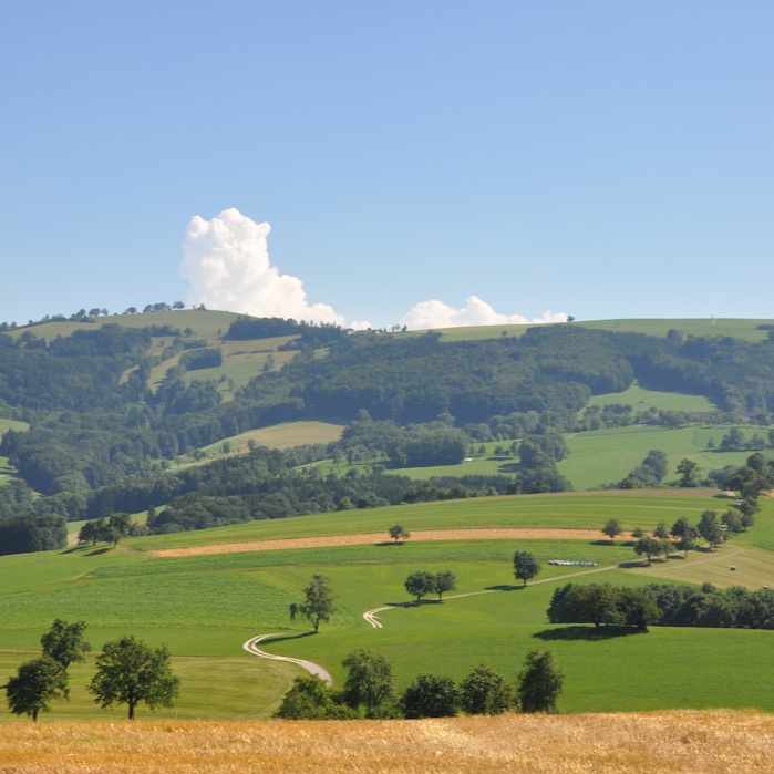 Idylischer Hinterwaldweg