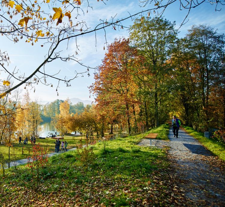 Naturparkweg Lustenau Alter Rhein