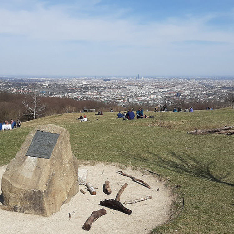 Durch den Lainzer Tiergarten nach Mariabrunn