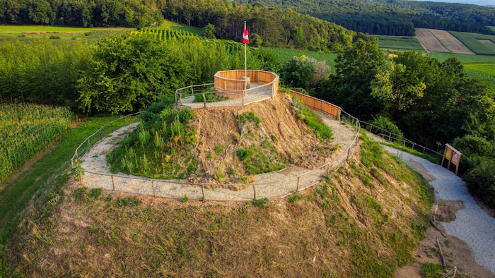 Die Weinbergschnecke Krustetten