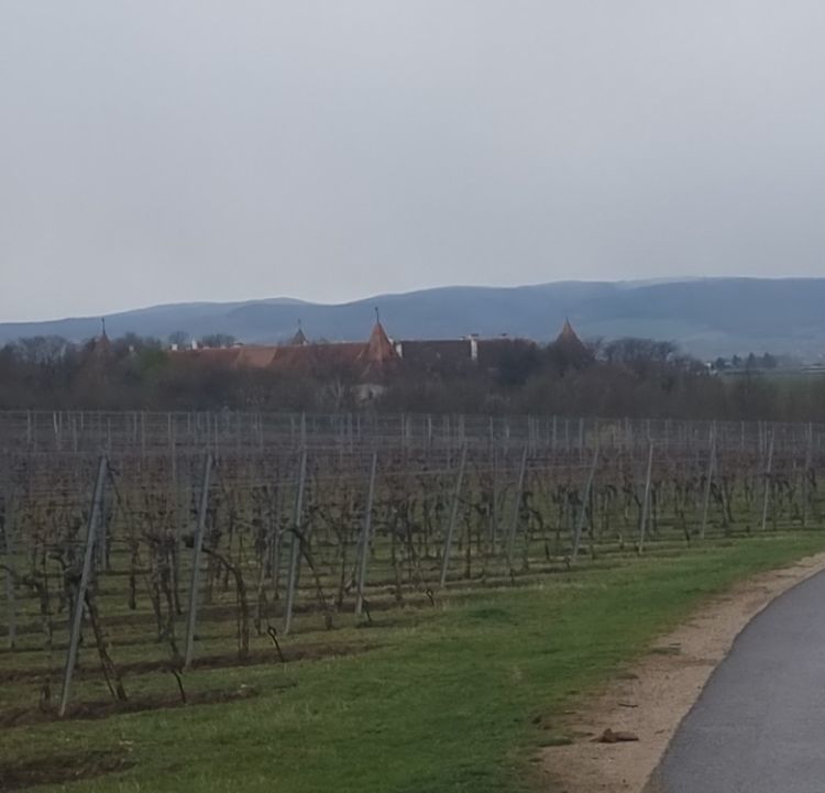 Blick auf Deutschkreuz / kfb Eisenstadt Blick auf Deutschkreuz