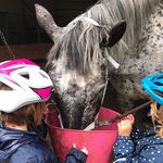 Nala wird versorgt