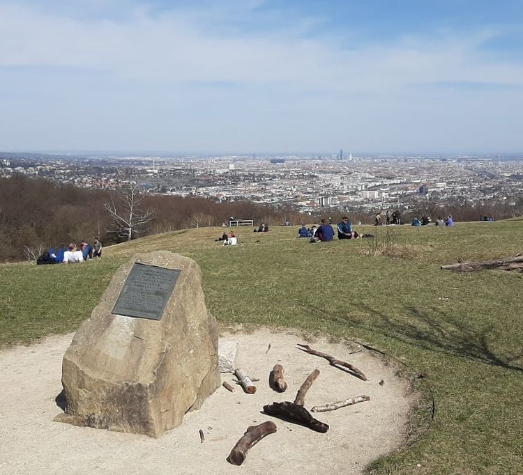 Wienblick