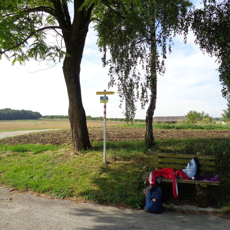 Poysdorf                          