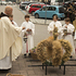 Erntedankfest in der Pfarrgemeinde Braunau-St. Stephan